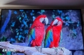 Телевизор NEON NE-65FLED SMART TV 4K, 1850 ₪, Хайфа